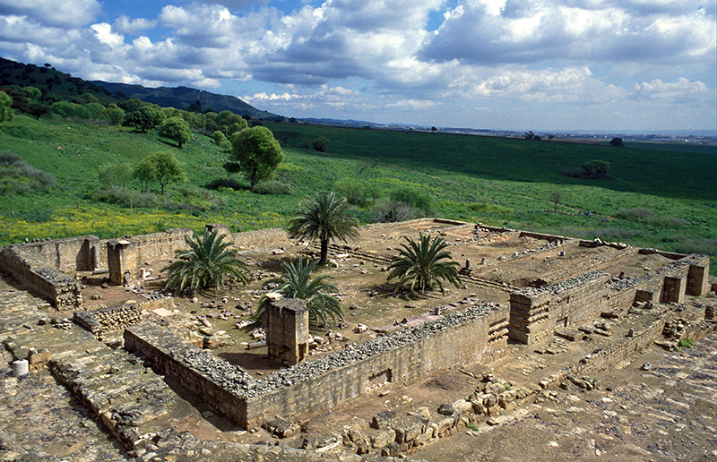 An elevated view of the remains of stone walls enclosing four palm trees.